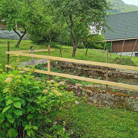 House Studor Bohinj Exteriér fotografie