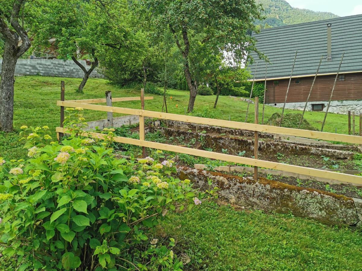 House Studor Bohinj Exteriér fotografie