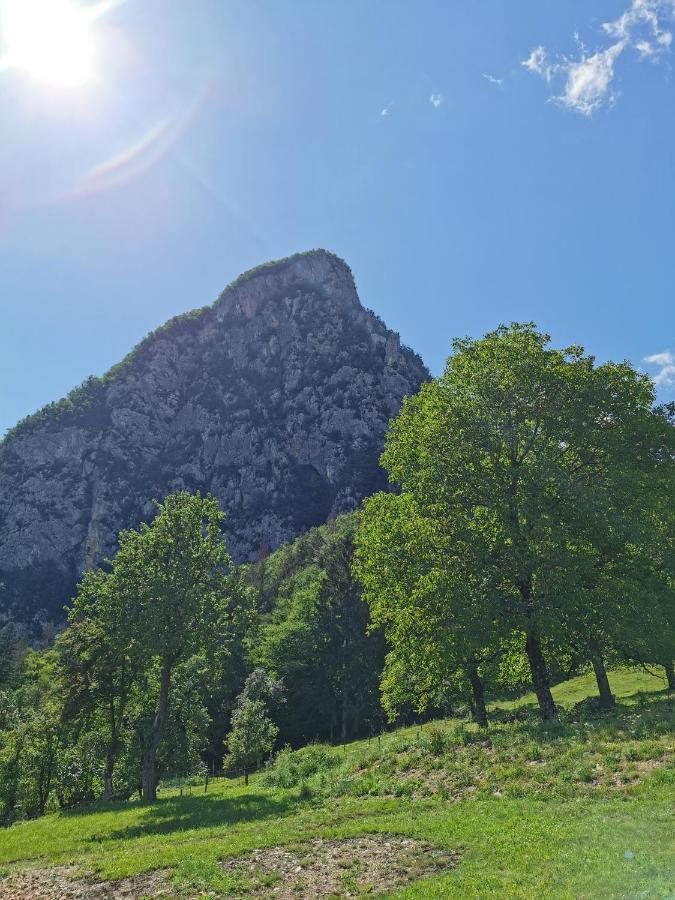 House Studor Bohinj Exteriér fotografie