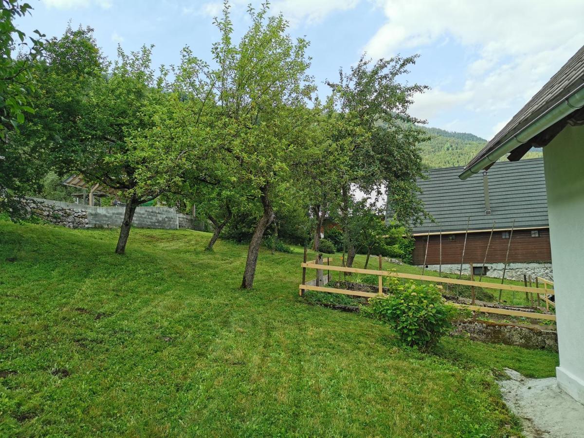 House Studor Bohinj Exteriér fotografie