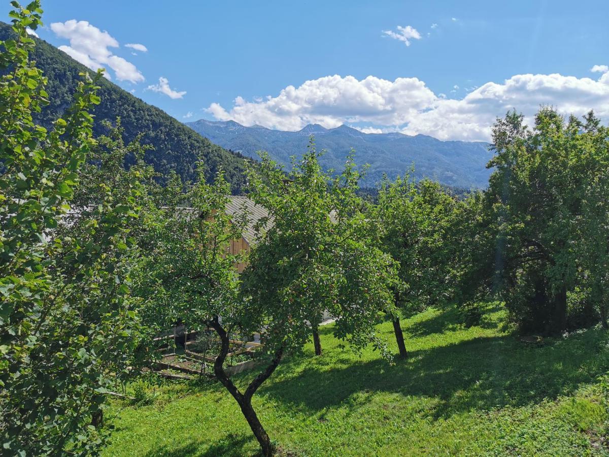 House Studor Bohinj Exteriér fotografie