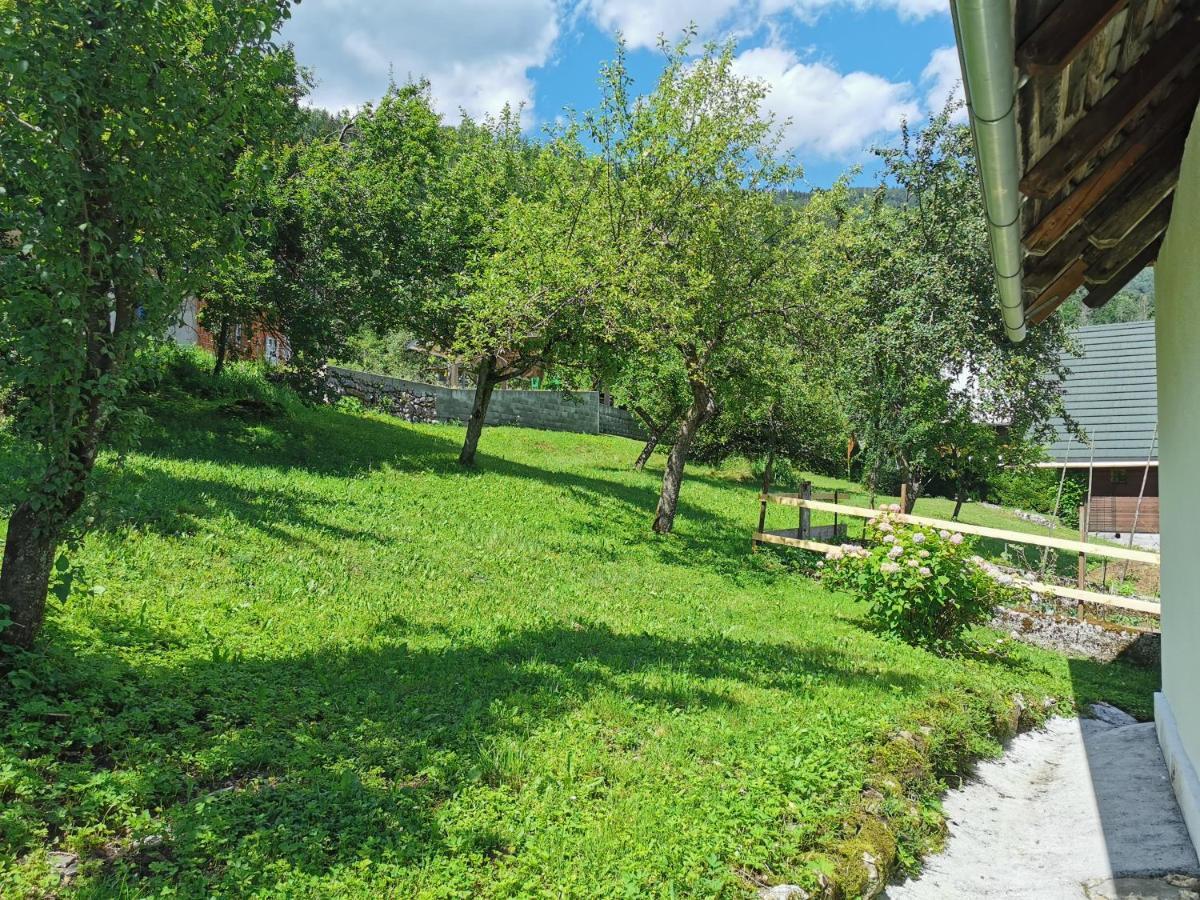 House Studor Bohinj Exteriér fotografie