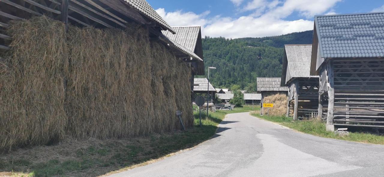 House Studor Bohinj Exteriér fotografie