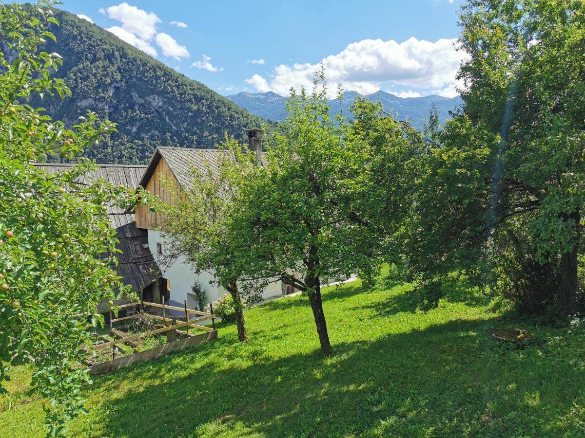 House Studor Bohinj Exteriér fotografie